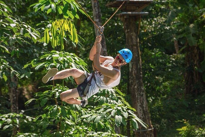 Jungle Xtreme Adventures and Zipline - The Review Highlights: Authentic Insights