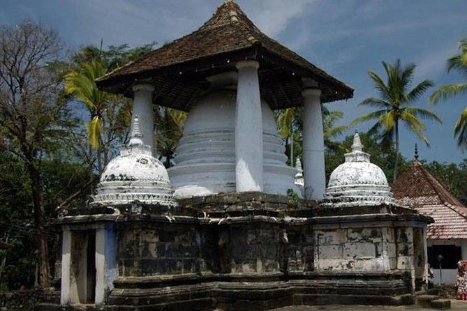 Kandy City Tour - The Royal Botanical Gardens: Nature’s Paradise