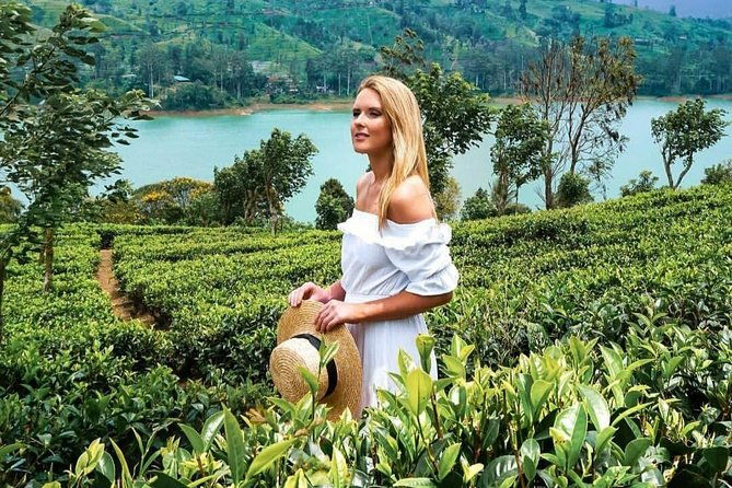 Kandy to Nuwara Eliya Day Tour - Who Would Love This Tour?