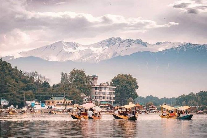 Kashmir Family Tour - 07 Days Includes Accommodation and Private Transport - Transportation & Accommodation: Why It Matters
