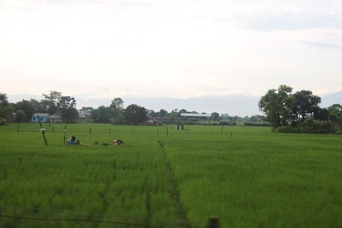 Kathmandu Chitwan Pokhara Tour - The Experience and Its Value