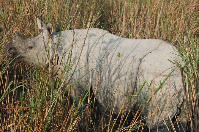 Kaziranga National Park & Guwahati - Day 4: Guwahati’s Heritage & Departure