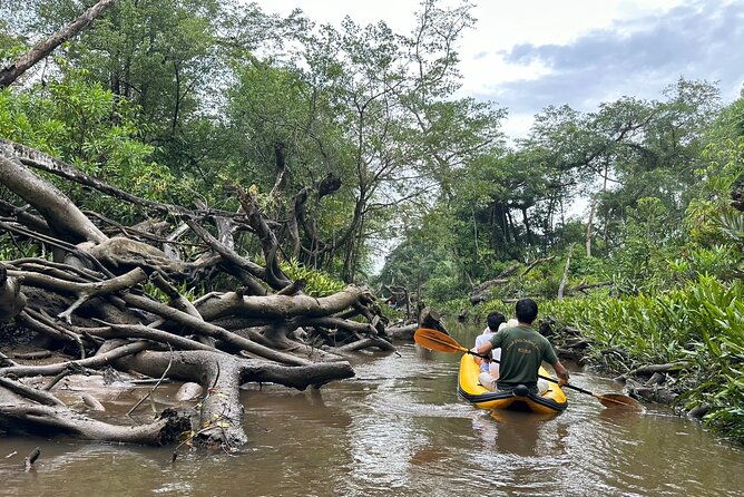 Khao Lak Elephant Sanctuary Visit and Mangrove Kayak Tour - FAQs