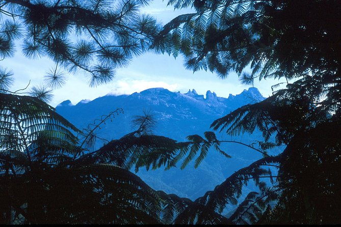 Kinabalu Park & Poring Hot Spring Tour - The Sum Up