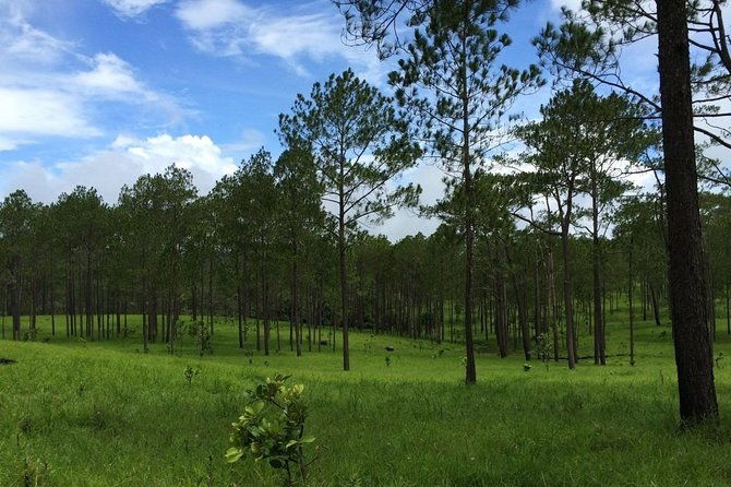 Kirirom National Park Private Day Tour from Phnom Penh - Real Travelers’ Insights and Tips
