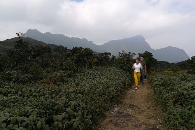 Knuckles Mountain Range Hiking and Trekking Day Tour From Kandy Hotels - Practical Details: What You Need to Know
