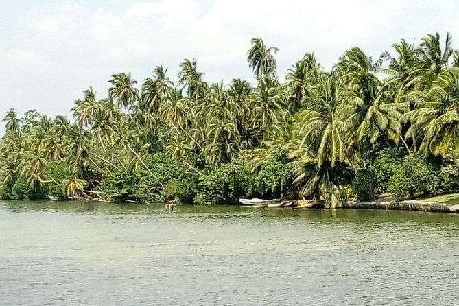 Koggala Lake Boat Tour - The Value of the Koggala Lake Boat Tour