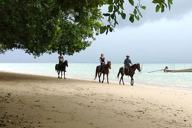 Krabi Horse Riding at The Beach - Why This Tour Works for Different Travelers