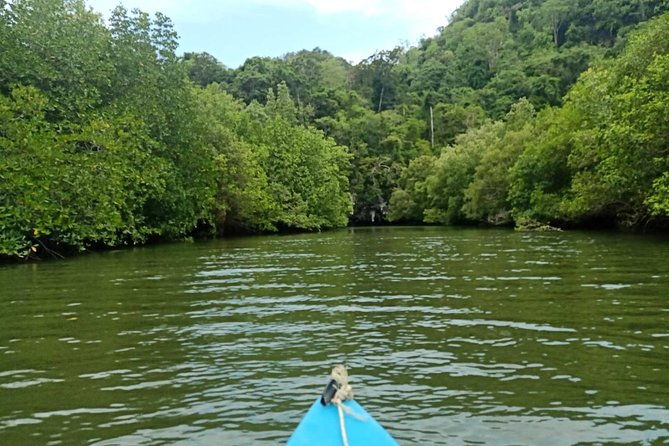 Krabi: Kayaking Tour at Ban Bor Thor Ancient Cave & Mangroves - The Cost and Why It’s Worth It