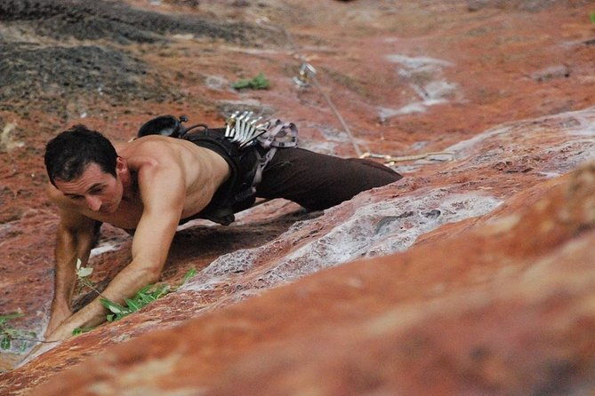 Krabi Rock Climbing Small-Group Experience - Price and Value Analysis