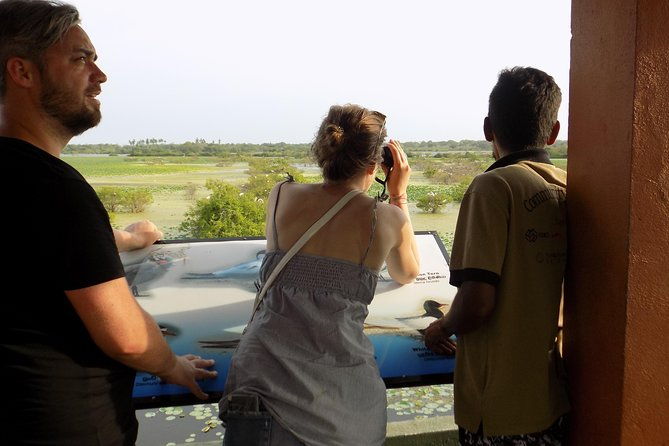 Kumana National Park Wildlife Safari - Why This Tour Offers Great Value