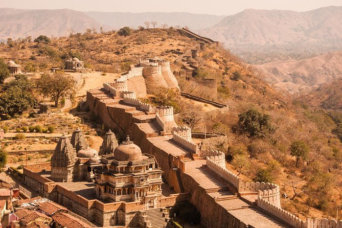 Kumbhalgarh and Ranakpur: Private Day Trip from Udaipur - Who Should Consider This Tour?