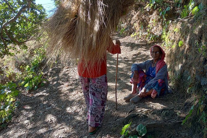 Kunjapuri Yoga Day Hike - Practical Details and Tips