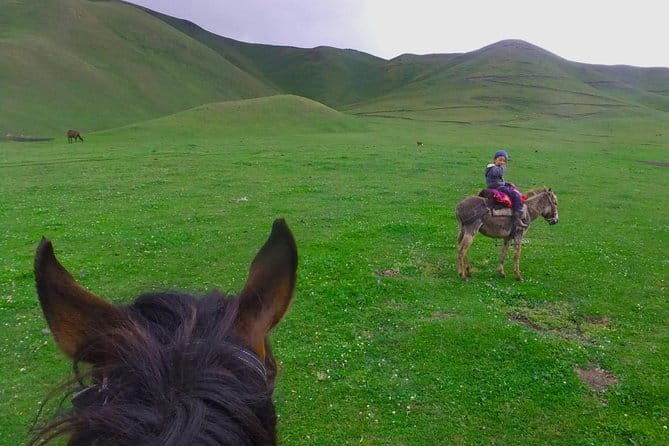 Kyrgyz Family Dinner: Meet, Eat, and Talk - The Food and Cultural Significance