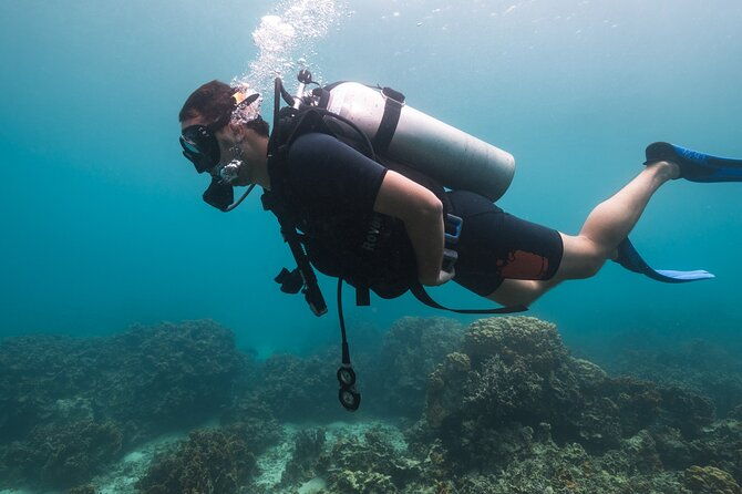 La Bombona Diving Koh Tao Try Dive - Who Should Consider This Tour?