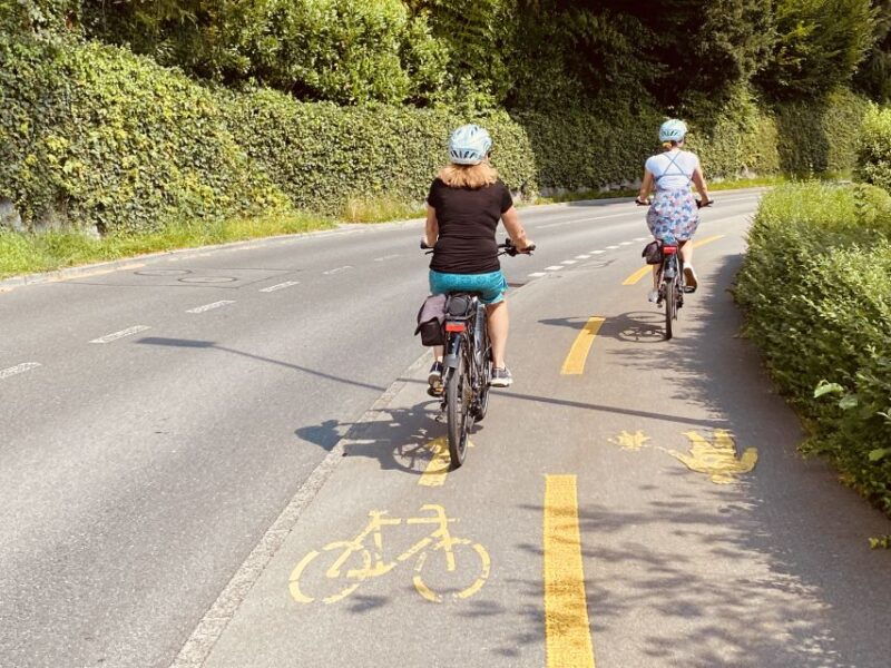 Lake Lucerne Peninsula e-bike Tour - Real Travelers’ Impressions