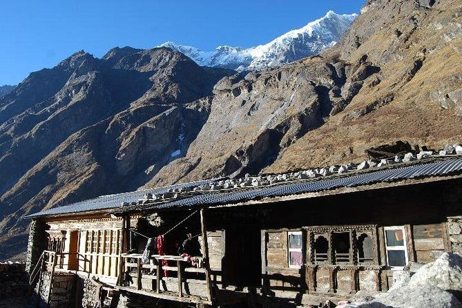 Langtang Valley Trek - 8 Days - Authentic Experiences and Reviewer Insights