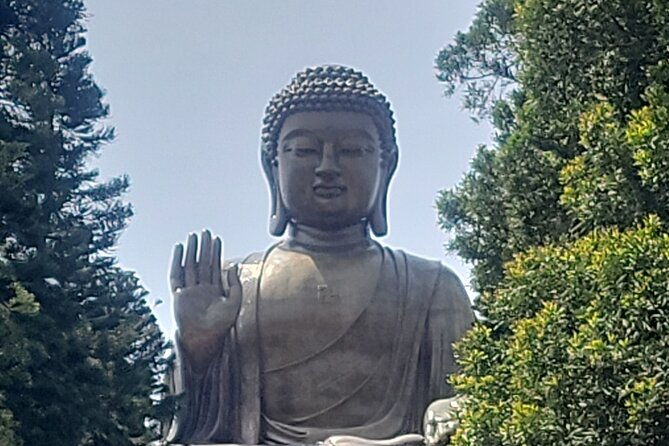 Lantau Island Tian Tan Big Buddha Excursion with Mercedes Benz - The Value and Practicalities