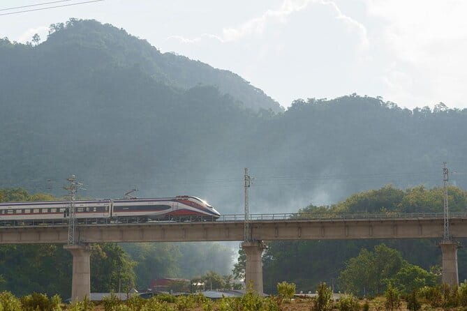 Laos Railway Tickets Easily: Avoid Long Queues & Wasted Time - What’s Included and What’s Not