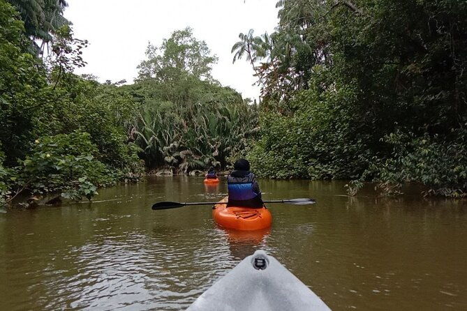 Lebam River Kayaking Adventure - FAQ