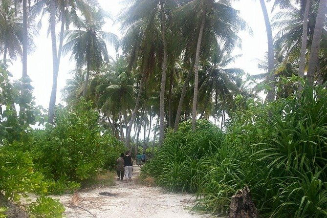 Local Island Day Trip from Hulhumale - The Value of Guided Cultural and Marine Experiences