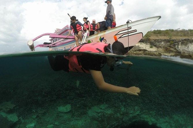 Lombok Pink Beach Boat Trip (Full Day + Snorkeling) - Authenticity and Unique Insights from Reviewer Feedback