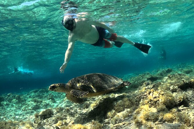 Lombok Private Customize Full Day Trip - Real Experiences from Travelers