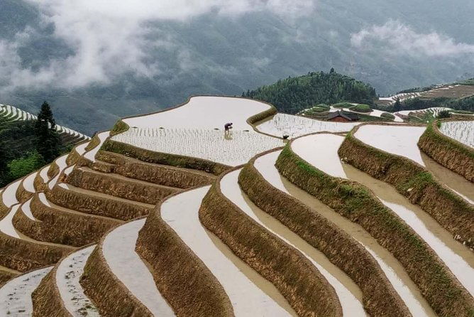 Longji Rice Terraces and Minority Village Day Tour - FAQ
