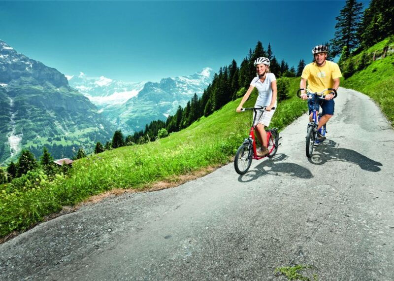 Lucerne: Grindelwald First Mountain Tour - Who Is This Tour Perfect For?