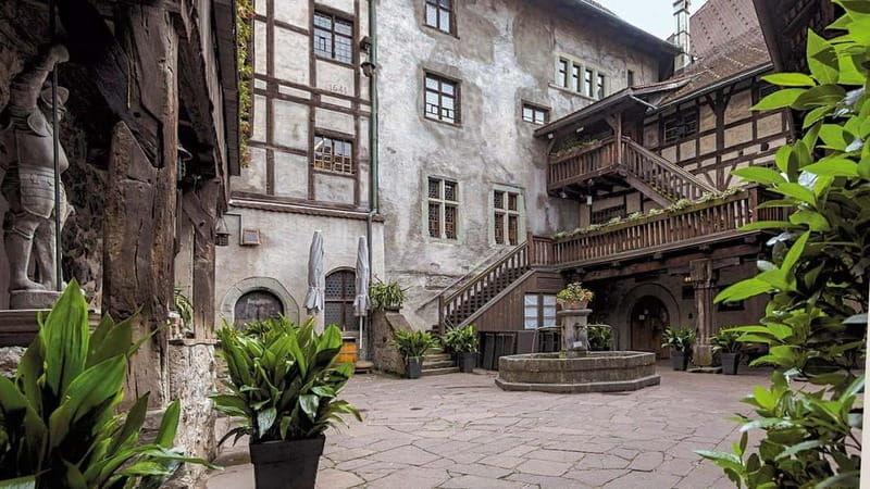 Lucerne: Private Day Tour to Waterfalls Valley & Interlaken - Analyzing the Value