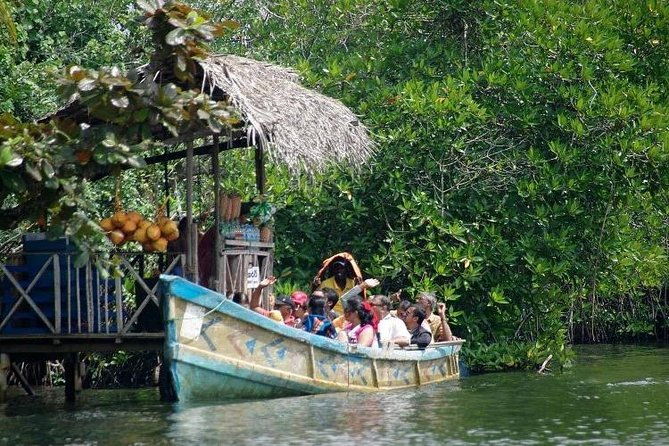 Madu River Boat Safari Balapitiya - Practical Details and Value
