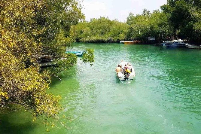 Madu River Safari at Balapitiya - Who Will Love This Tour?
