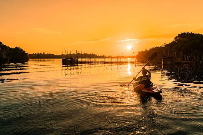 Madu River Sunrise Mangrove Kayaking from Colombo - What Makes It Special