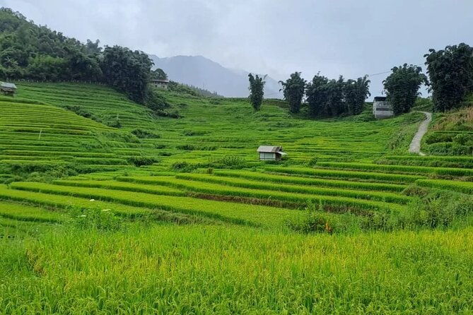 Mai Chau  Pu Luong 2D1N - Who Is This Tour Perfect For?