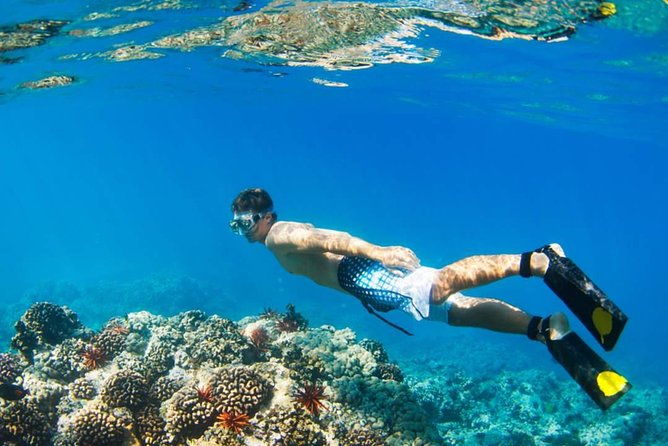 Mamutik + Sapi Island SnorkelingTrip from Kota Kinabalu - Who This Tour Is Best For