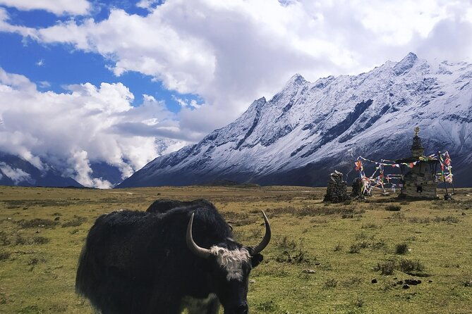 Manaslu Circuit Trek - FAQ