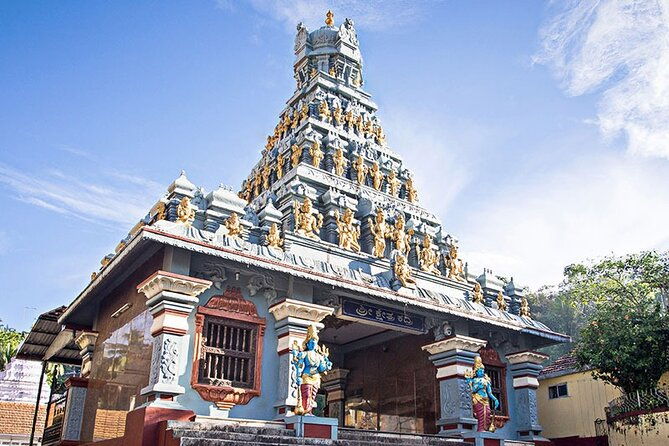 Mangaluru Shore Excursion - Full Day Private Mangaluru Guided City Tour - Considerations