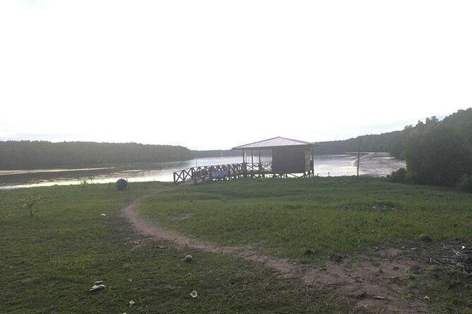 Mangrove Cruise with Fireflies Tour Including Dinner from Sandakan - Final Thoughts: Who Will Love This Tour?
