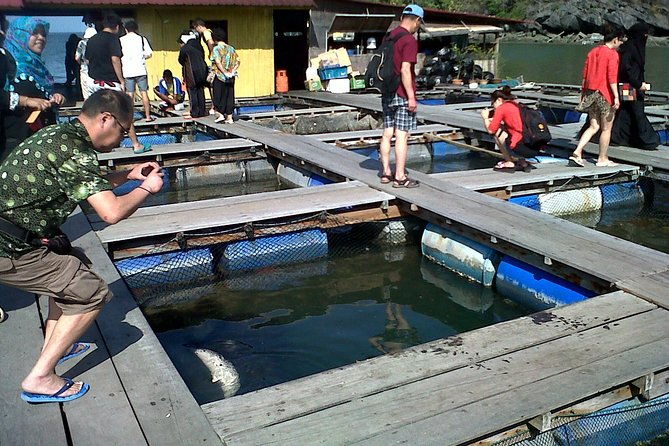 Mangrove Forest Tour In Langkawi - FAQs About the Mangrove Forest Tour