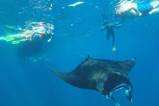 Manta Point Snorkeling & West Nusa Penida Island Day Tour - FAQs