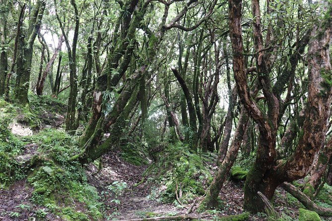 Mardi Himal Base Camp Trek (5 Days) - FAQs