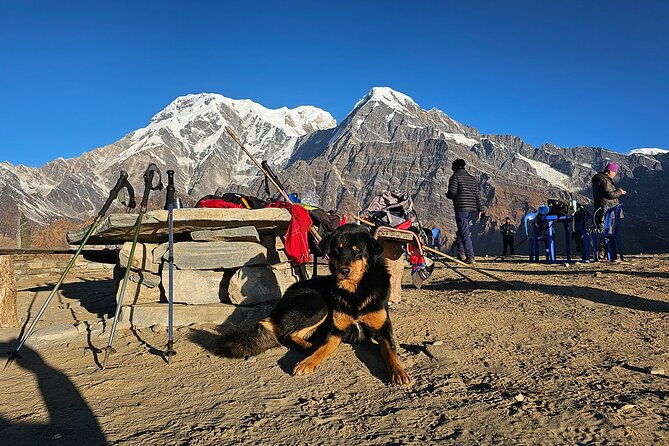 Mardi Himal Trek - Who Should Consider This Trek?
