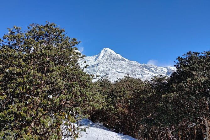 Mardi Himal Trek - FAQ