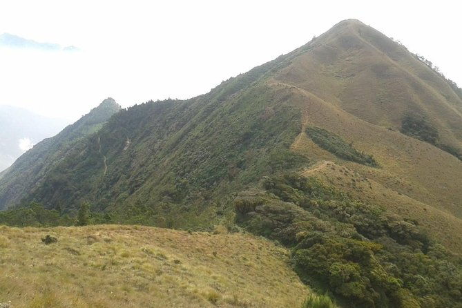 Meesapulimala Sunrise trek( By Munnar Info) - What Makes This Tour Stand Out
