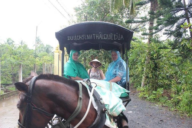 Mekong Delta Adventure by Private Car from Phu My Port - What Could Be Better?