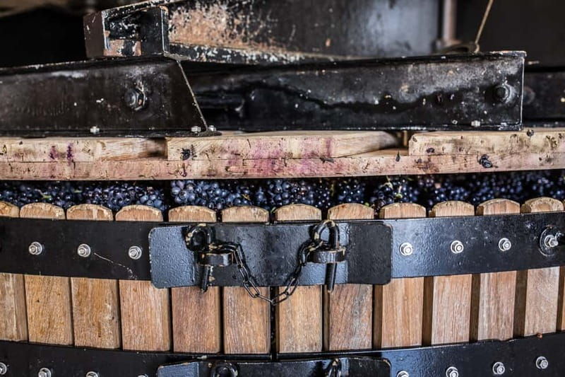 Meunier Champagne Experience tour - Passy-Grigny - Why the Tour Offers Great Value