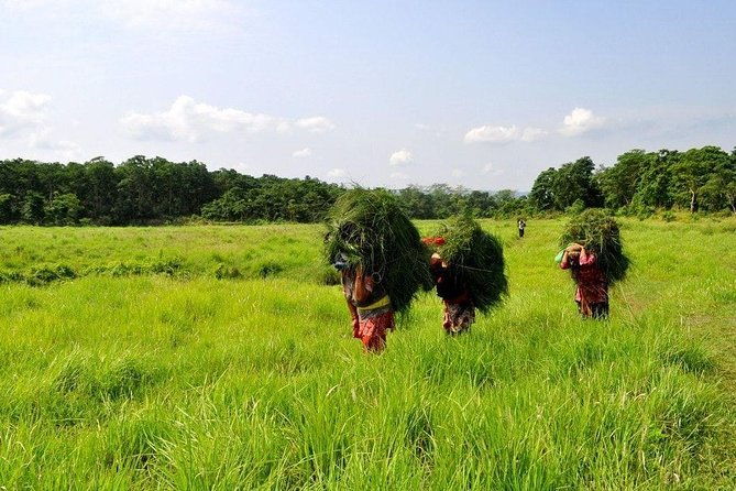 Millennium Homestay Trek - Who This Tour is Perfect For