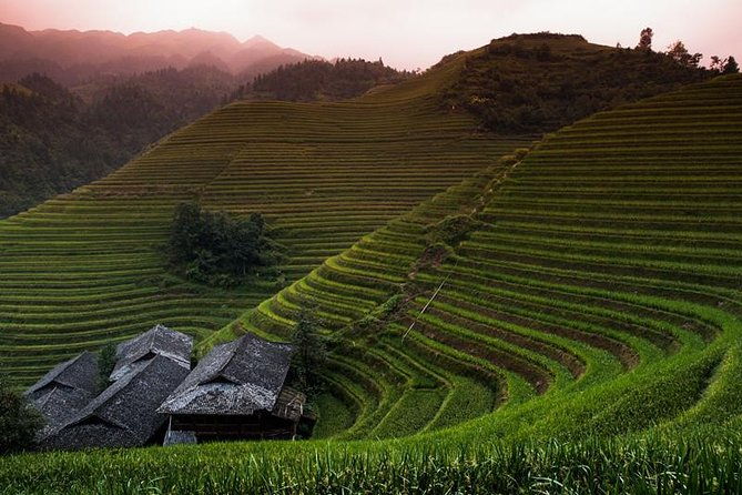 Mini Group: Longji Rice Terraced Fields and Minority Villages Tour - Lunch and Cultural Encounters