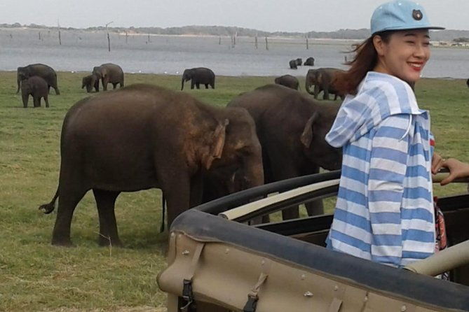Minneriya National Park private safari - Transport and Convenience