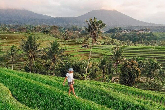 Monkey Forest, Jatiluwih and Temple in Jungle Private Tour - The Sum Up